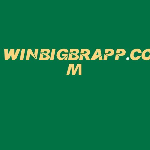 Logo da WINBIGBRAPP